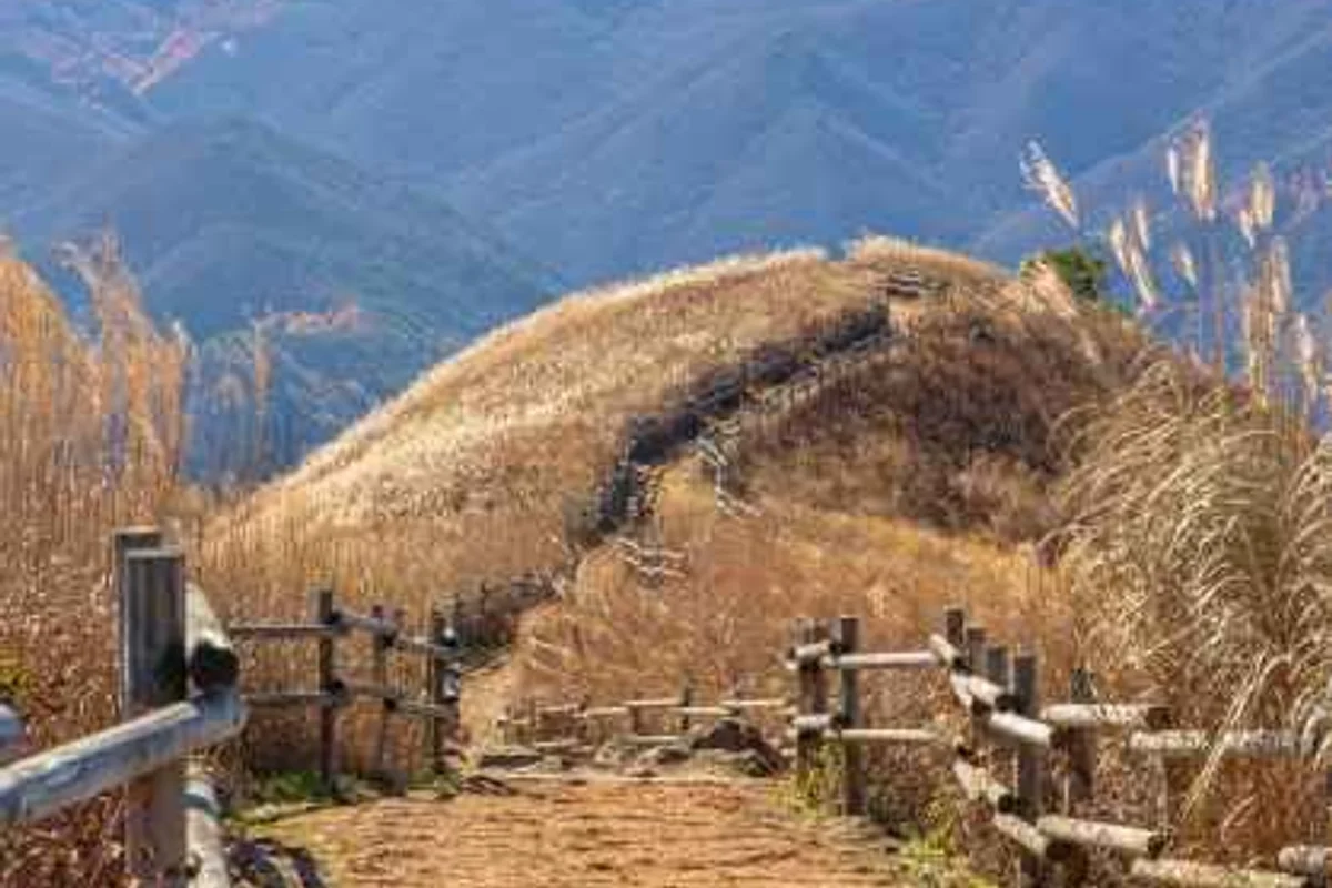 민둥산 - 정선여행 여행