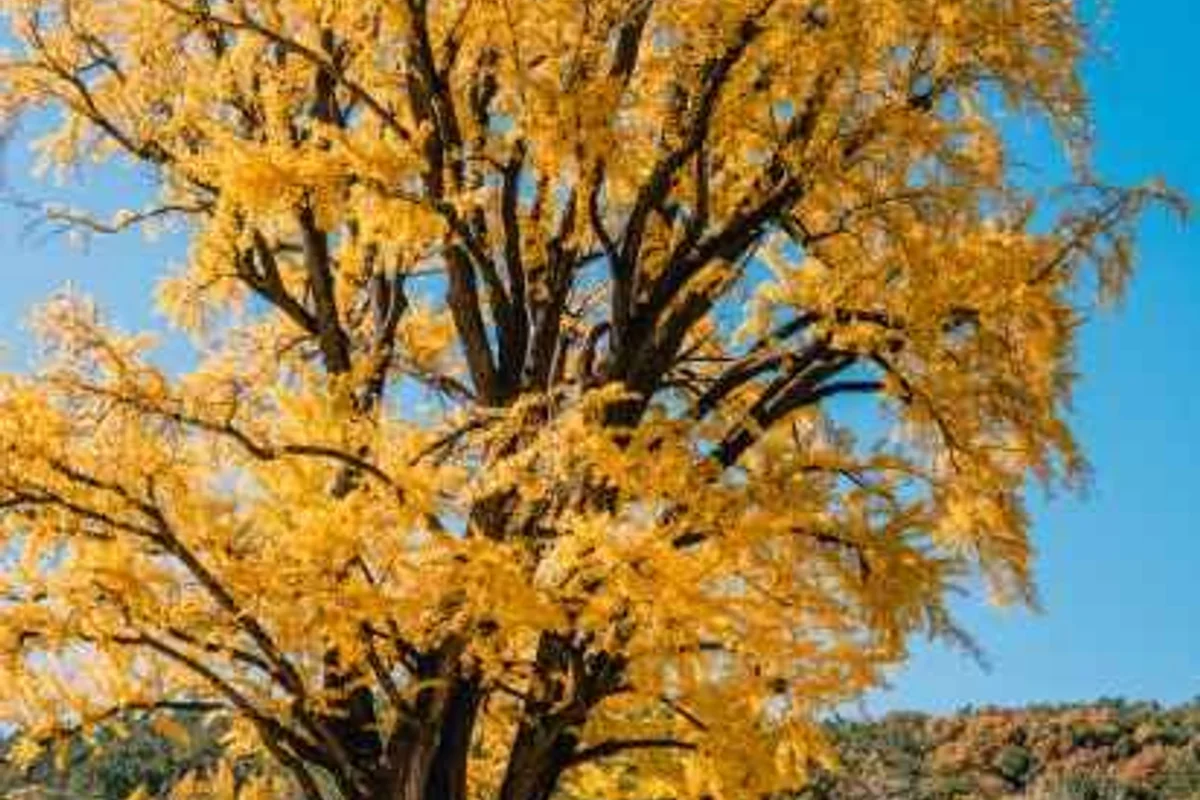 함안 숙소 추천 (출처 : 한국관광공사)