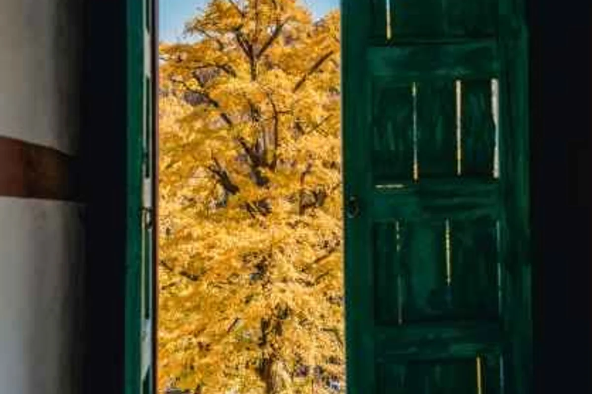 함안 숙소 추천, 여행자를 위한 특별한 스테이 가이드 - 함안여행 여행