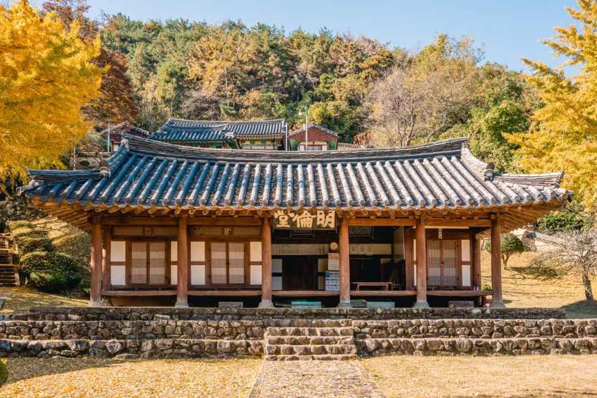 강주해바라기마을 - 함안여행 여행