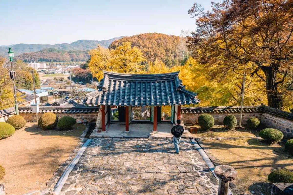 강주학교캠프 - 함안여행 여행