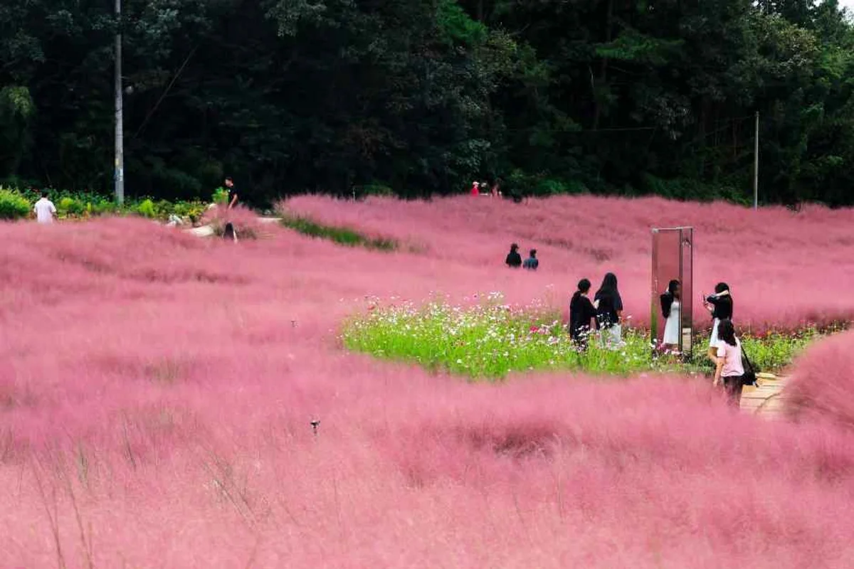 구로구 체험 (출처 : 한국관광공사)