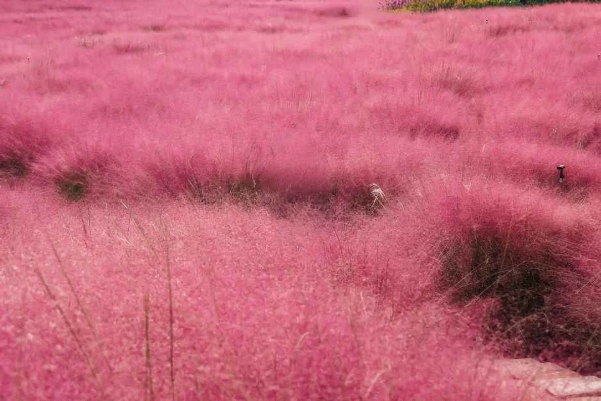 구로구 어린이건강체험관 - 구로구 여행