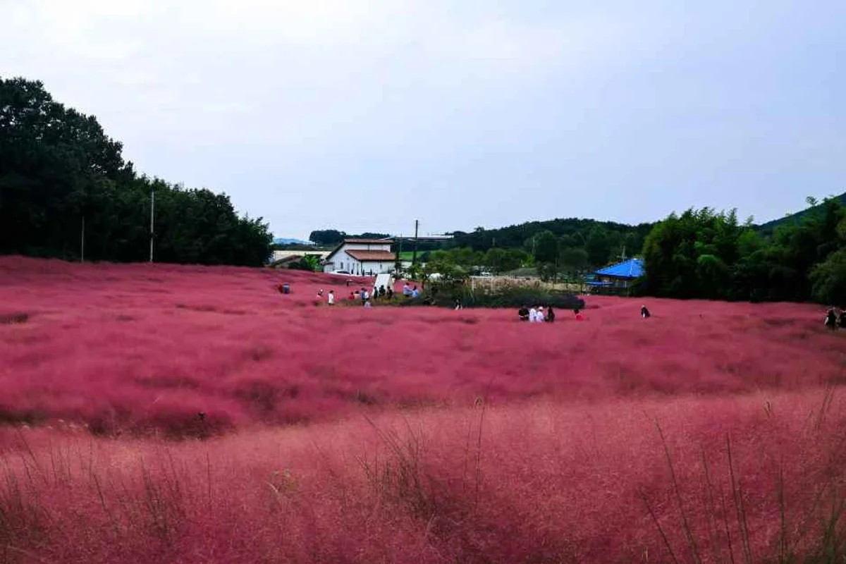푸른수목원 - 구로구 여행
