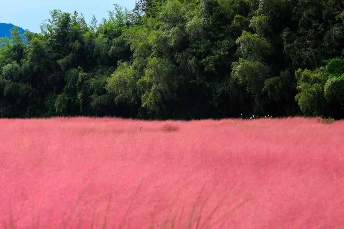 항동철길 - 구로구 여행