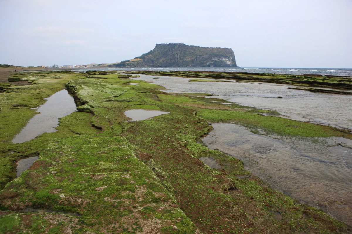 성산일출봉 당일치기 (출처 : 한국관광공사)