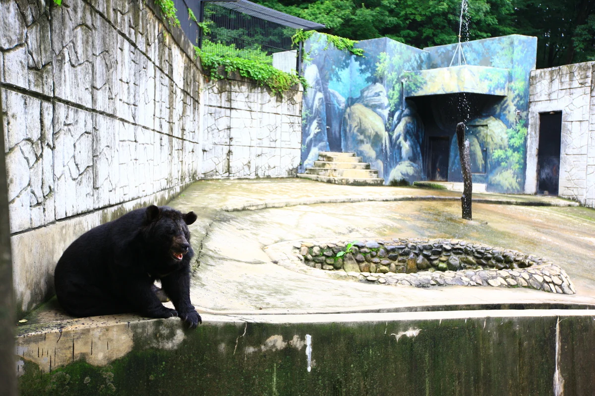 장림포구 - 부산여행 여행
