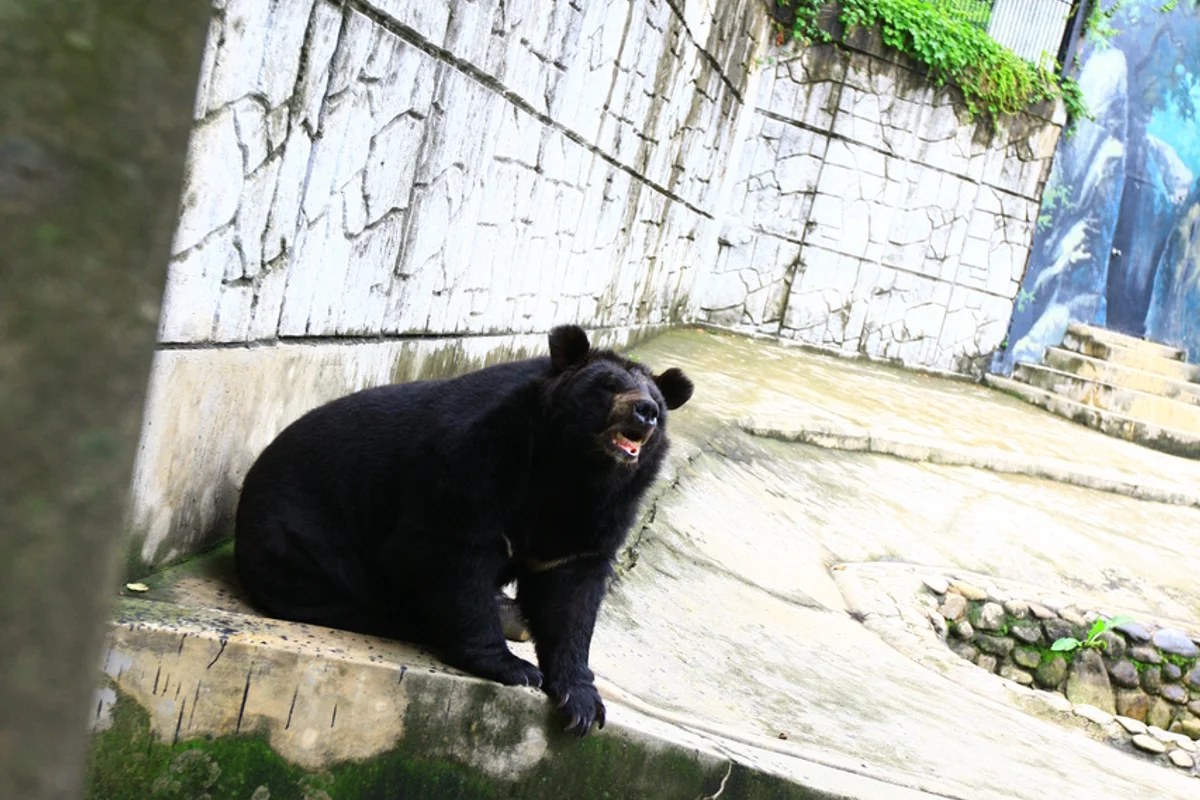 장림포구 부네치아 - 부산여행 여행