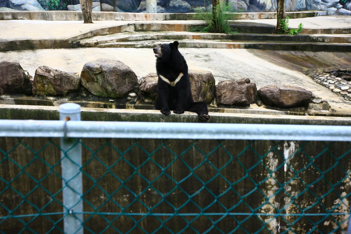 놀핏 - 부산여행 여행