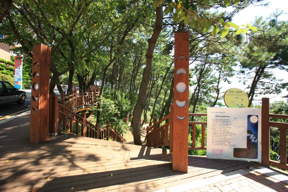 해운대 달맞이길 - 해운대벚꽃 여행