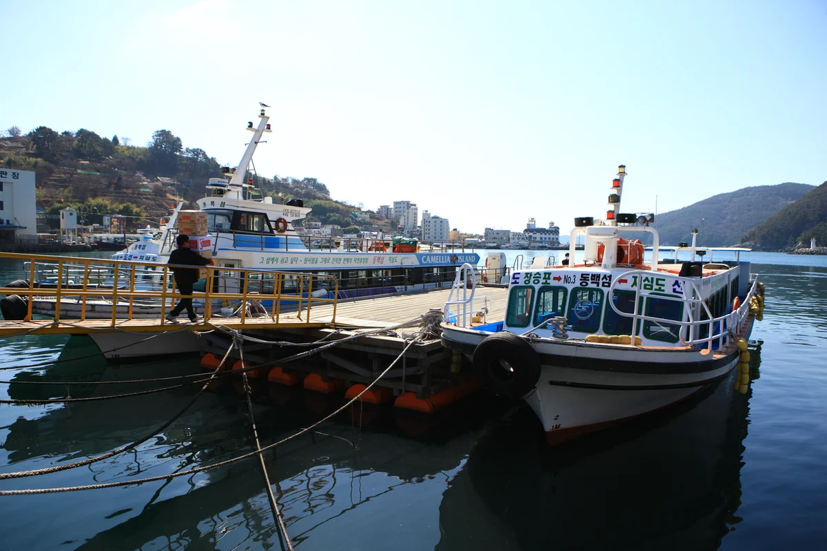 동백섬 - 해운대벚꽃 여행