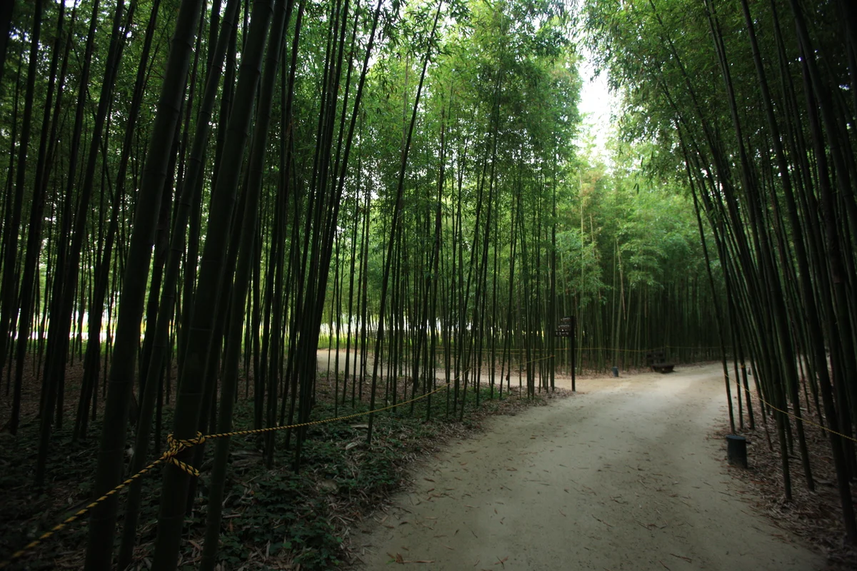 태화강 국가정원 - 울산 여행 여행