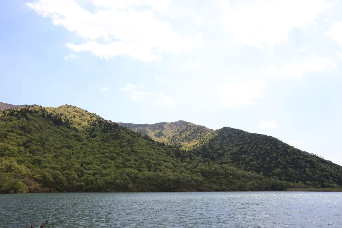 월영산 출렁다리 - 금산여행 여행