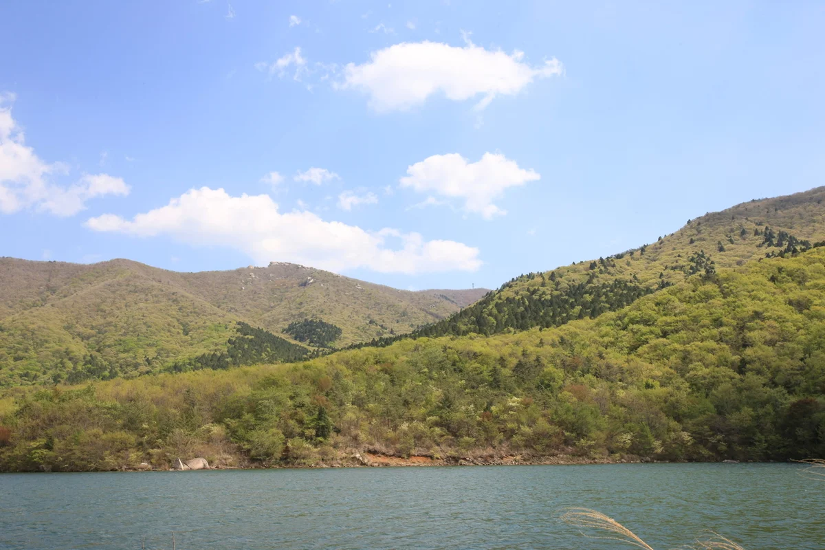 홍도마을 - 금산여행 여행