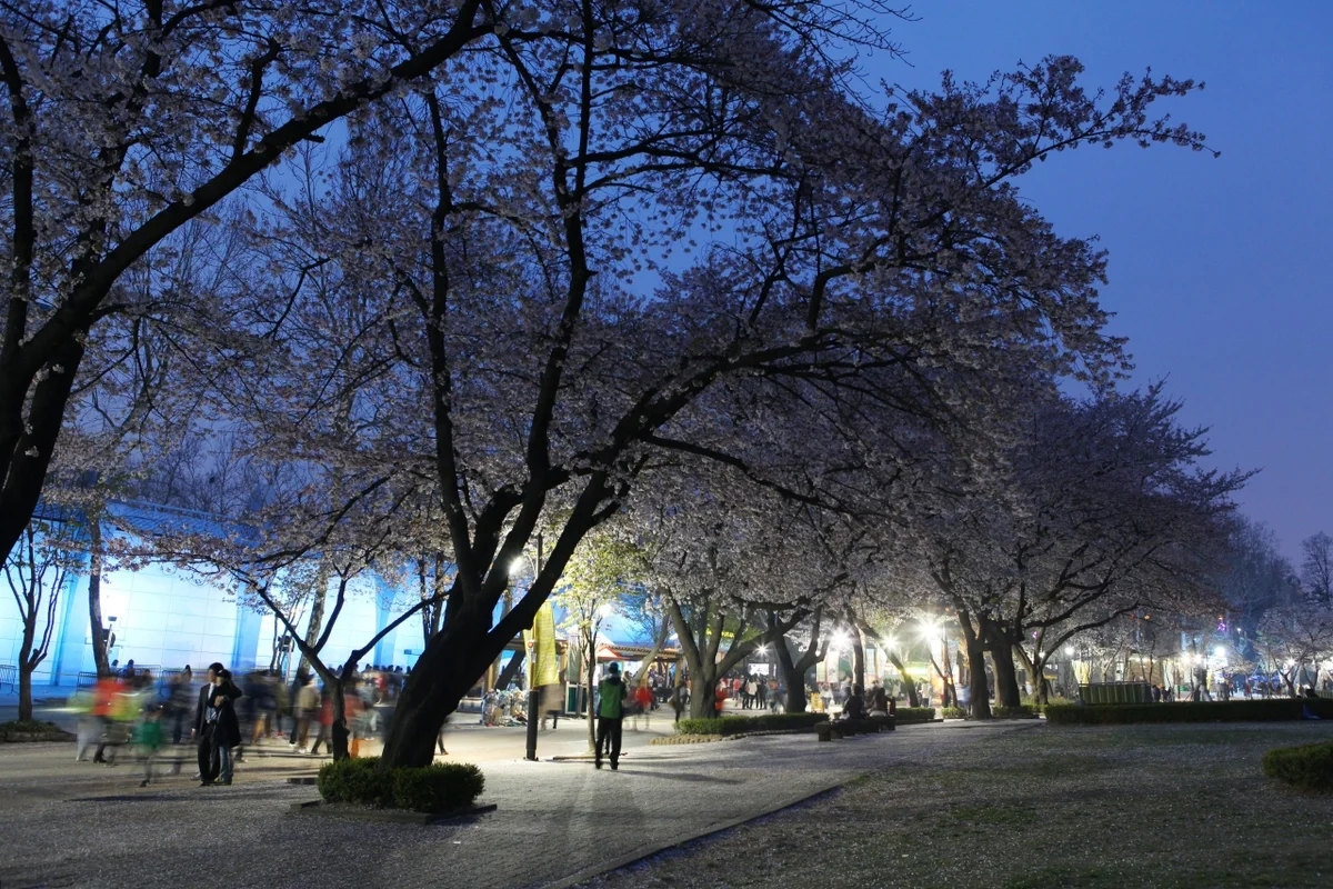 서울어린이대공원 놀이동산 - 어린이대공원 여행