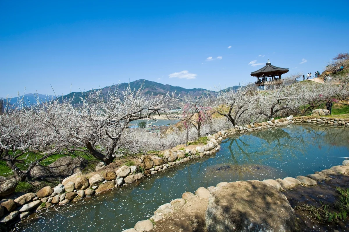 3월 광양 가볼만한곳 (출처 : 한국관광공사)