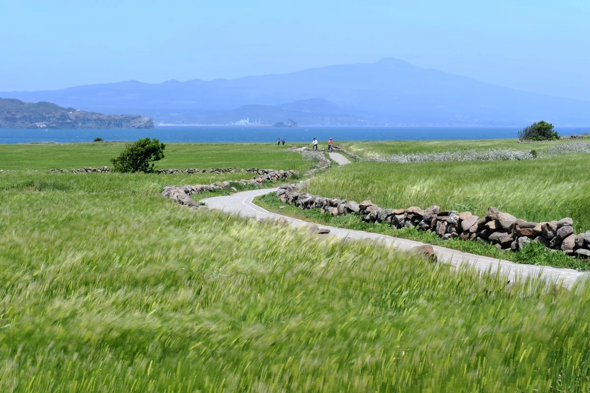 거제바람의언덕 봄 나들이 (출처 : 한국관광공사)