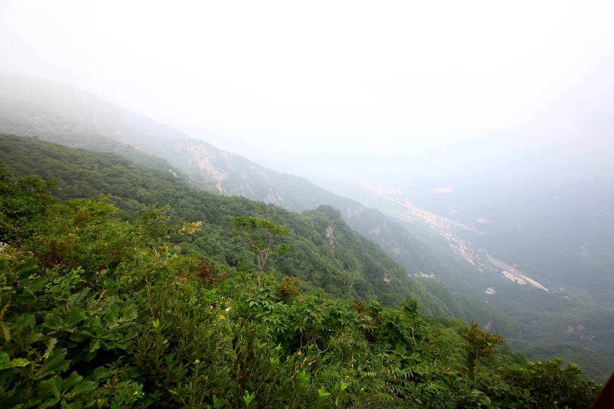 연제 수목원: 하늘정원 - 연제수목원 여행