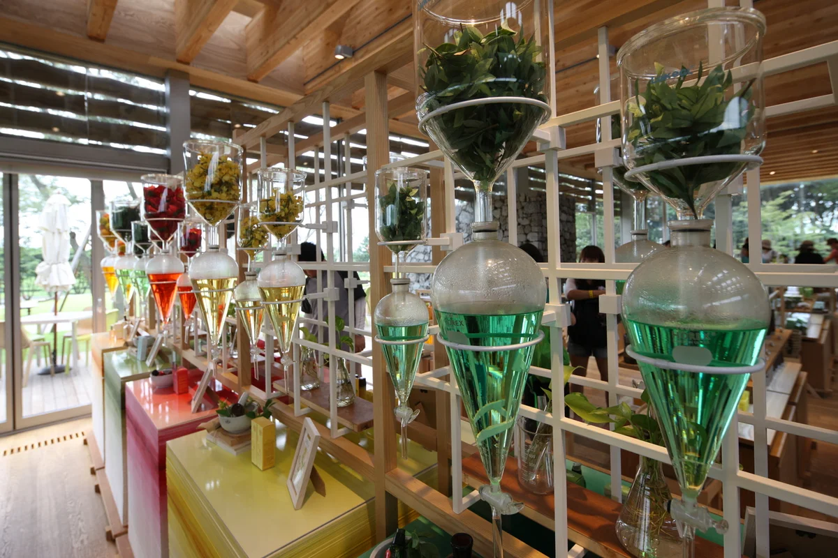 이니스프리 제주하우스 - 2026년여행 여행