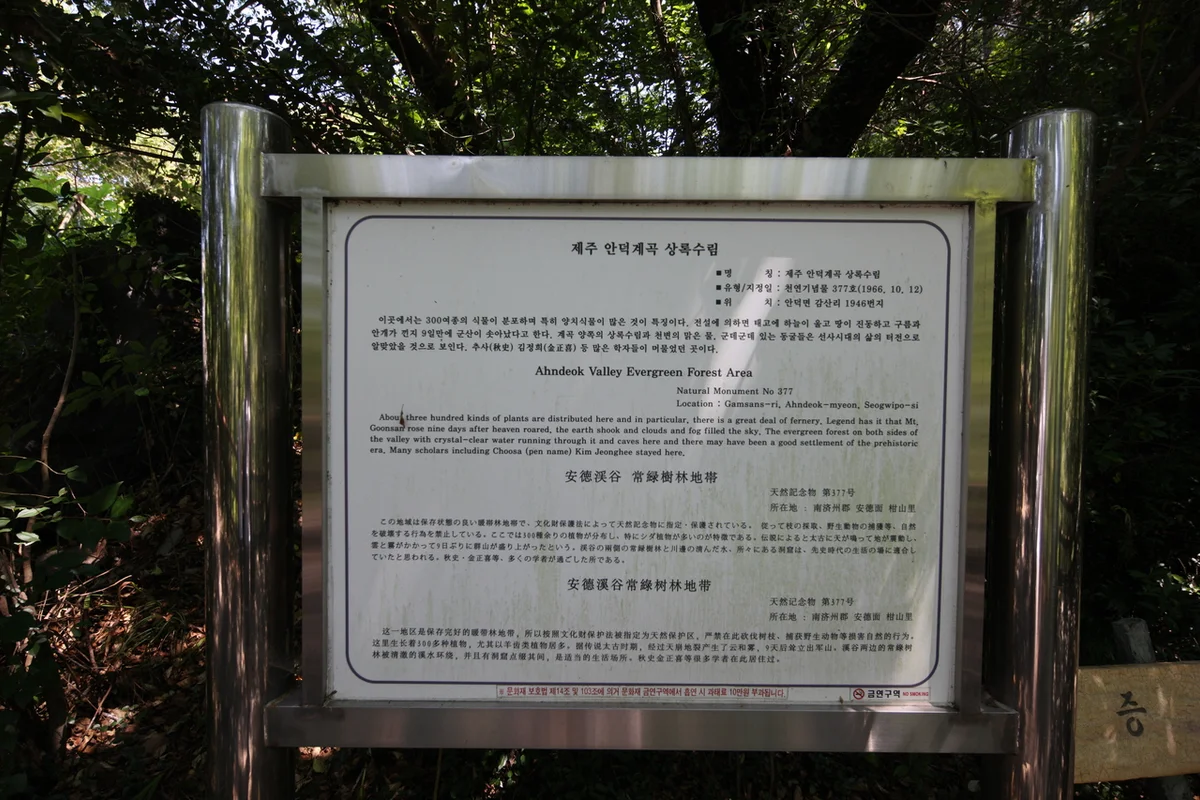 백석탄포트홀 - 안덕 횟집 여행