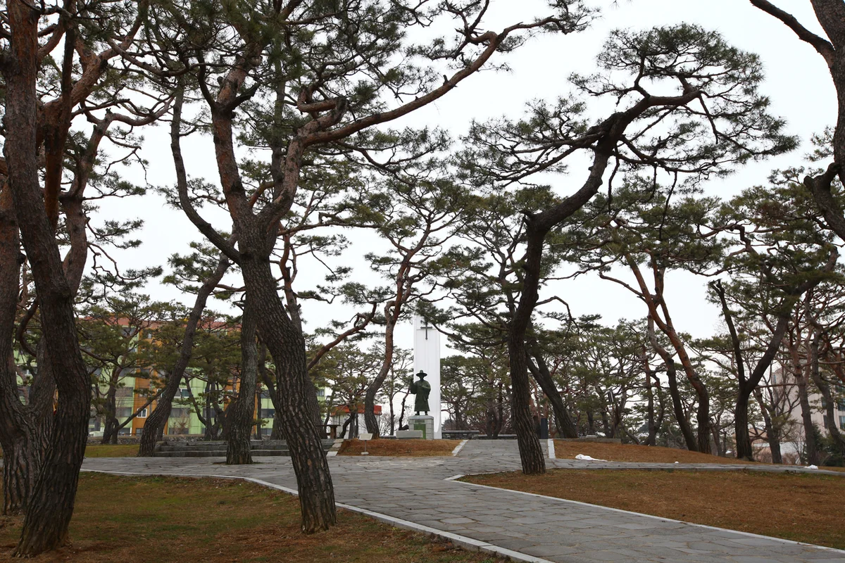 당진천 벚꽃길 - 당진여행 여행