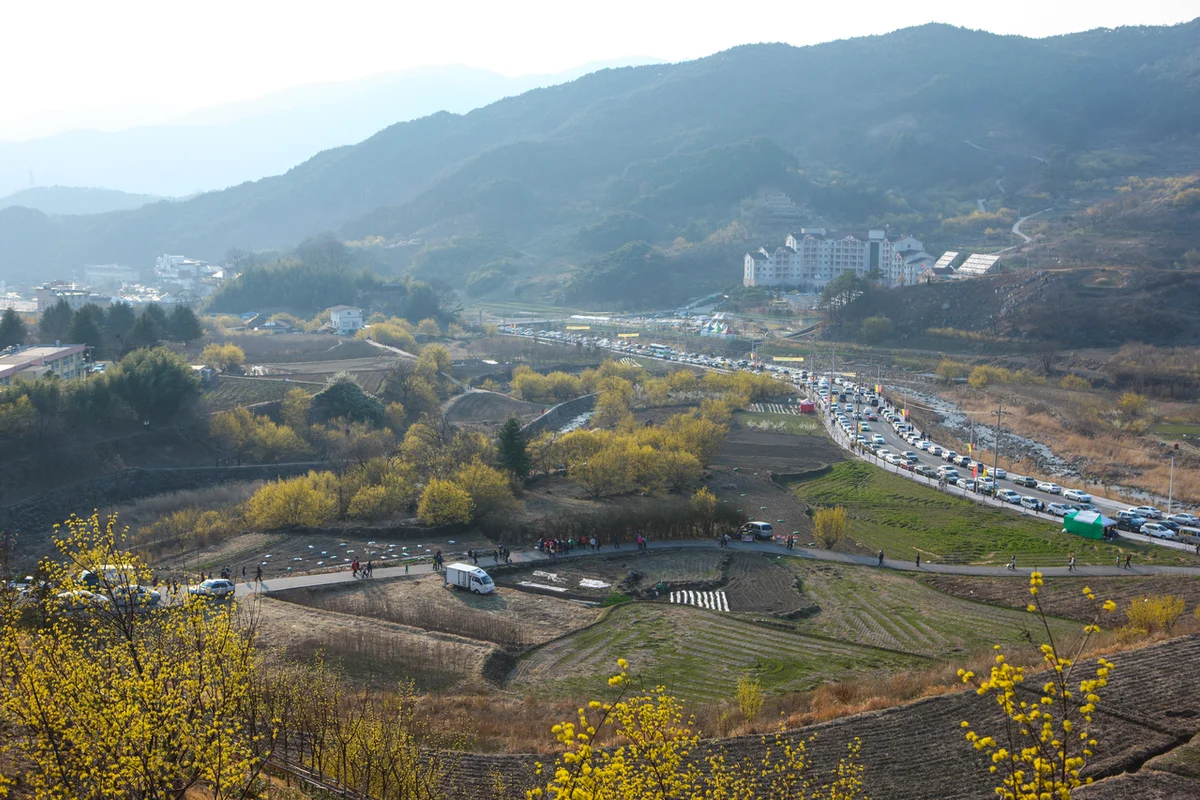 구례산수유마을 전통시장 - 구례여행 여행