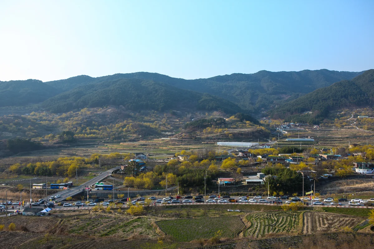 구례산수유마을 - 구례여행 여행