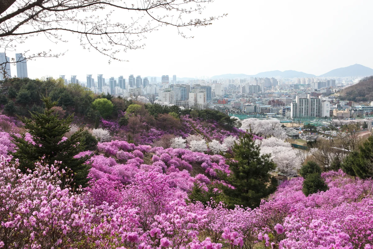 상동호수공원 - 부천여행 여행