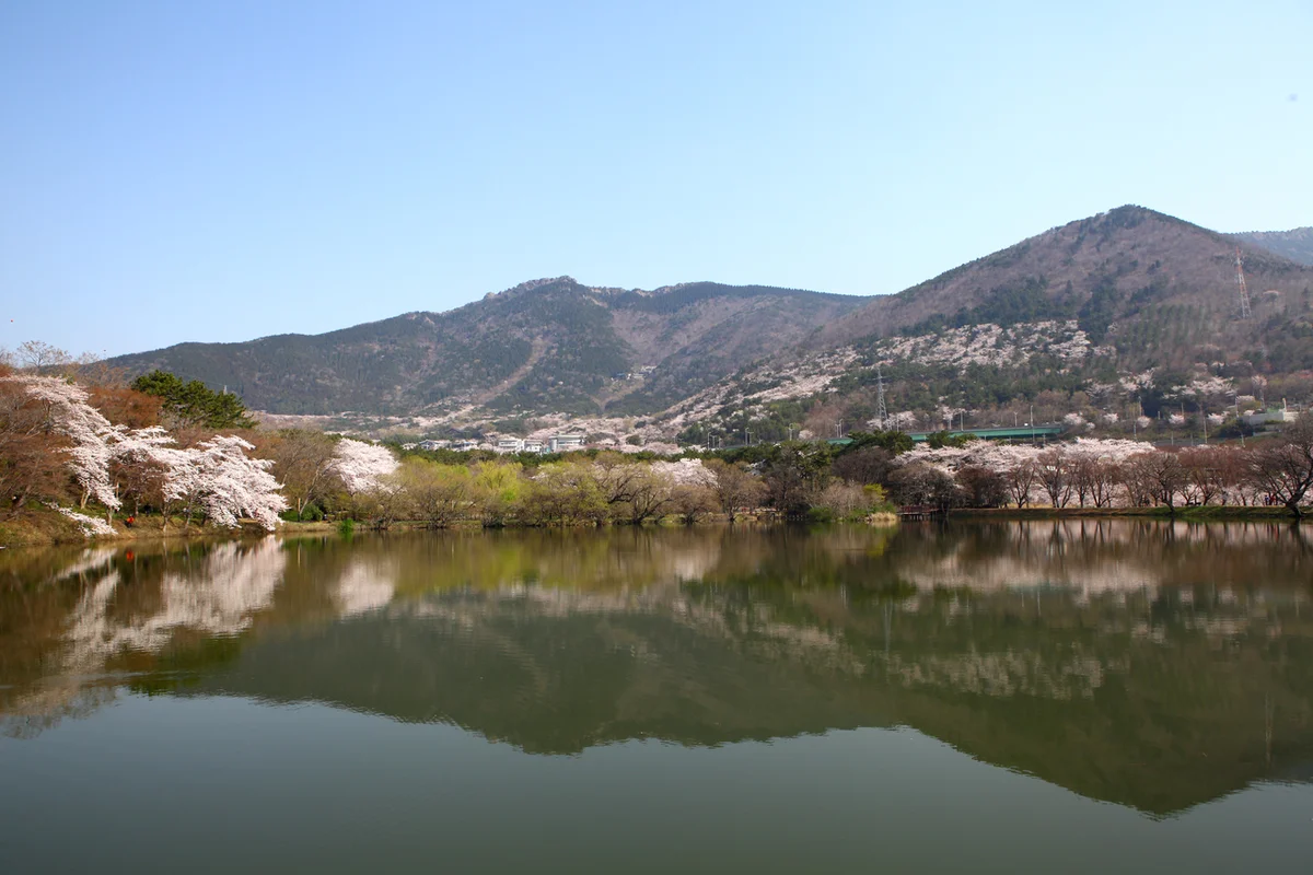 명서시장 - 창원여행 여행