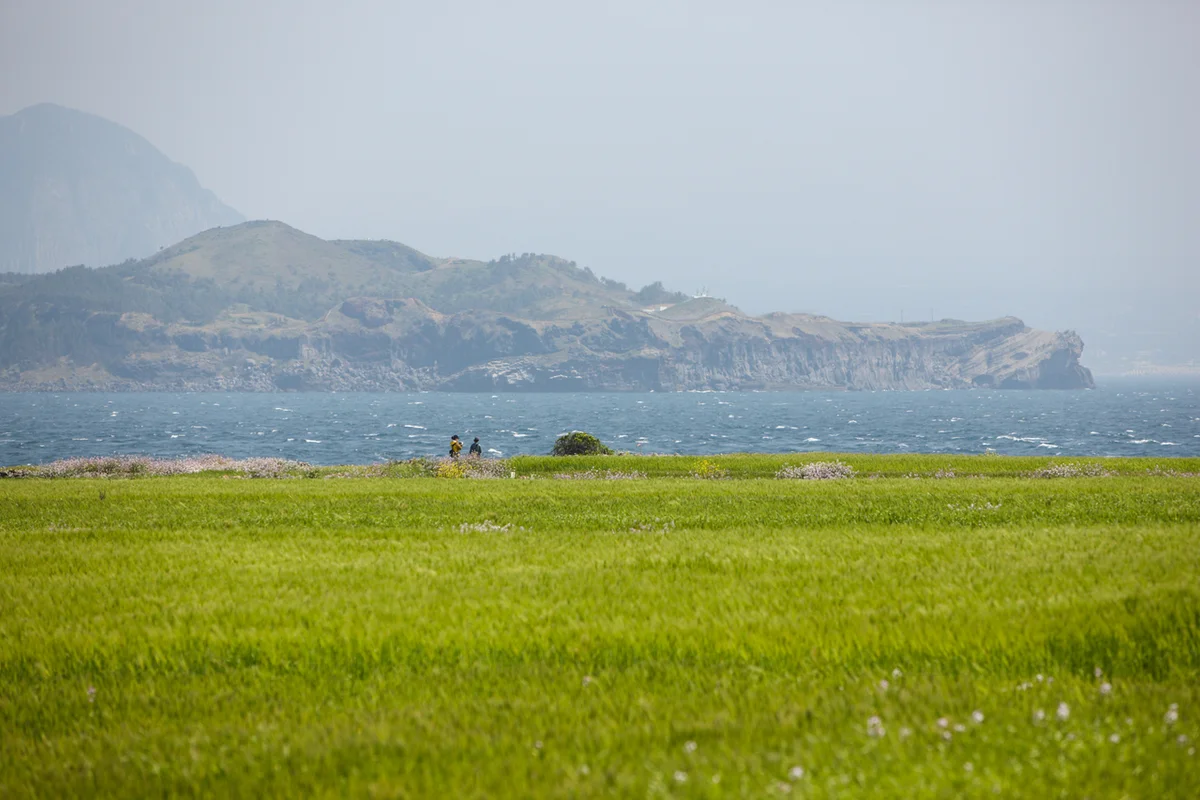 테이블에이 - 신정동 여행