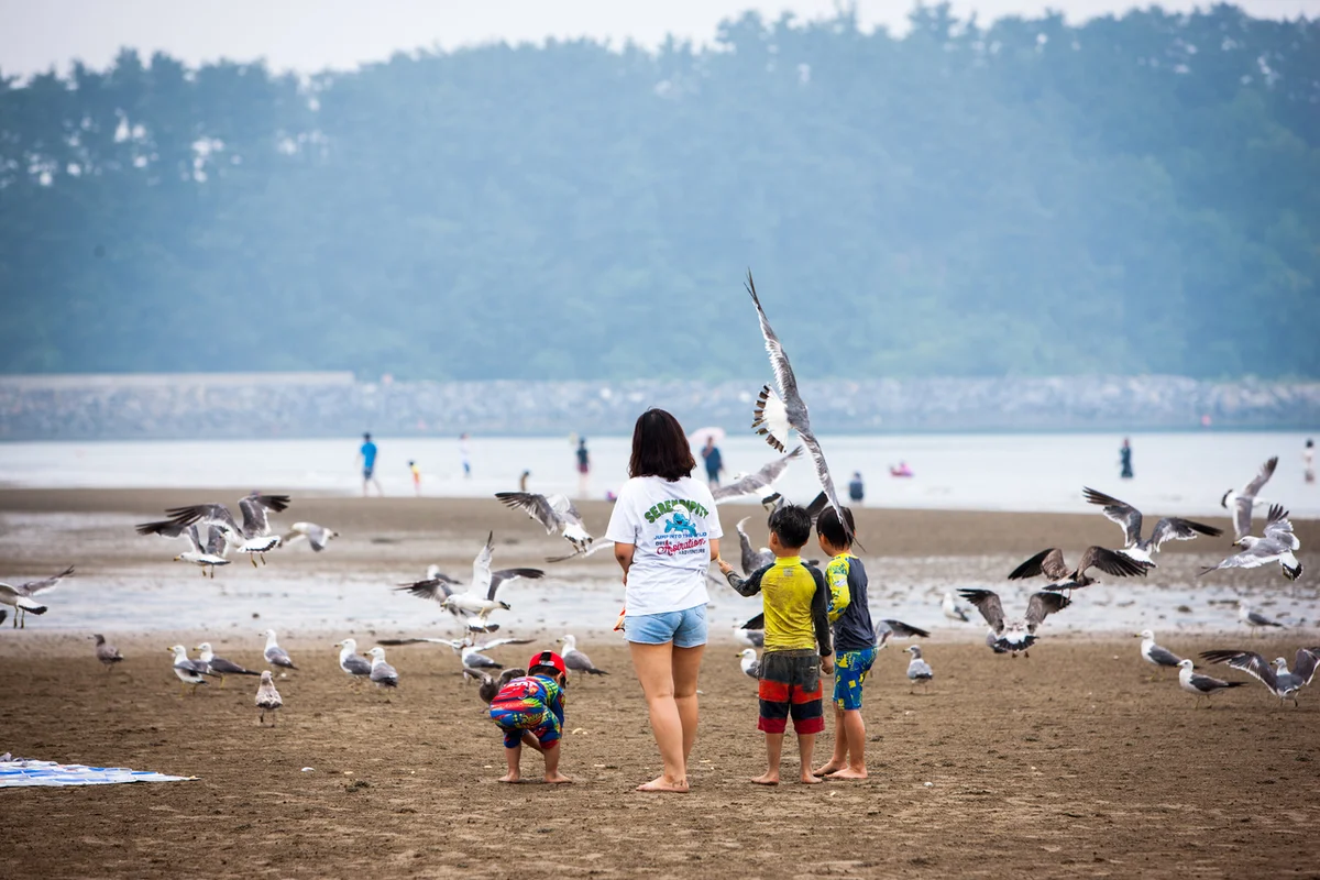 충남 서천 국립생태원 - 충남서천 여행