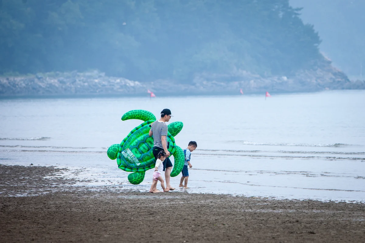 희리산해송자연휴양림 - 충남서천 여행