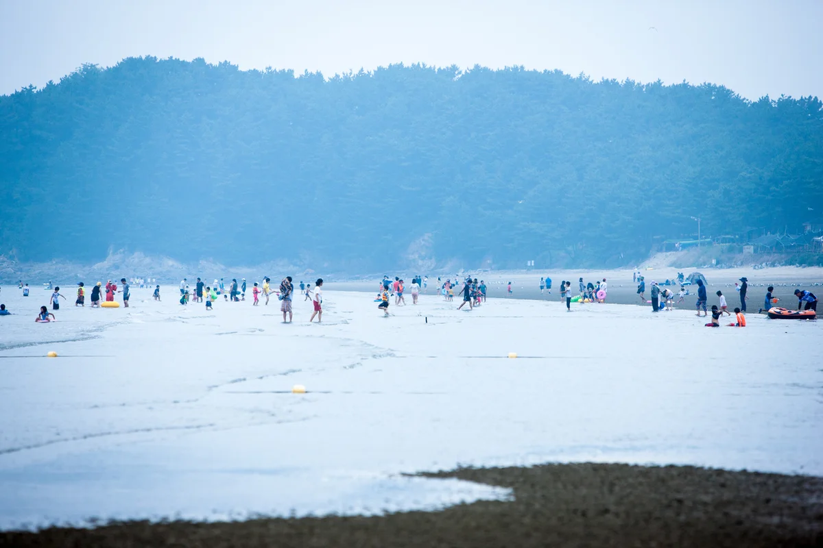충남 서천 (출처 : 한국관광공사)