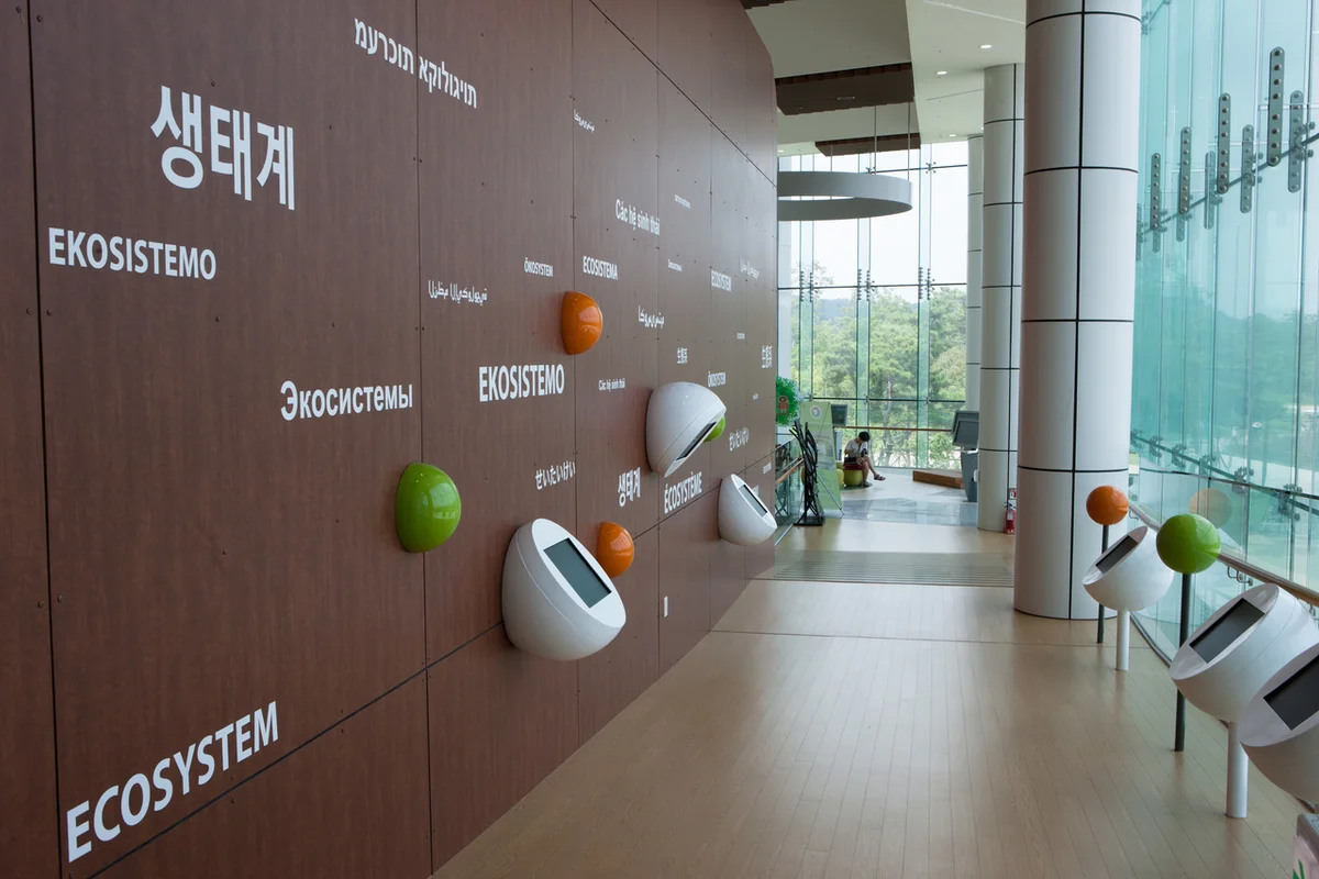 서천 춘장대 해변 캠핑: 춘장대캠핑장 - 서천여행 여행