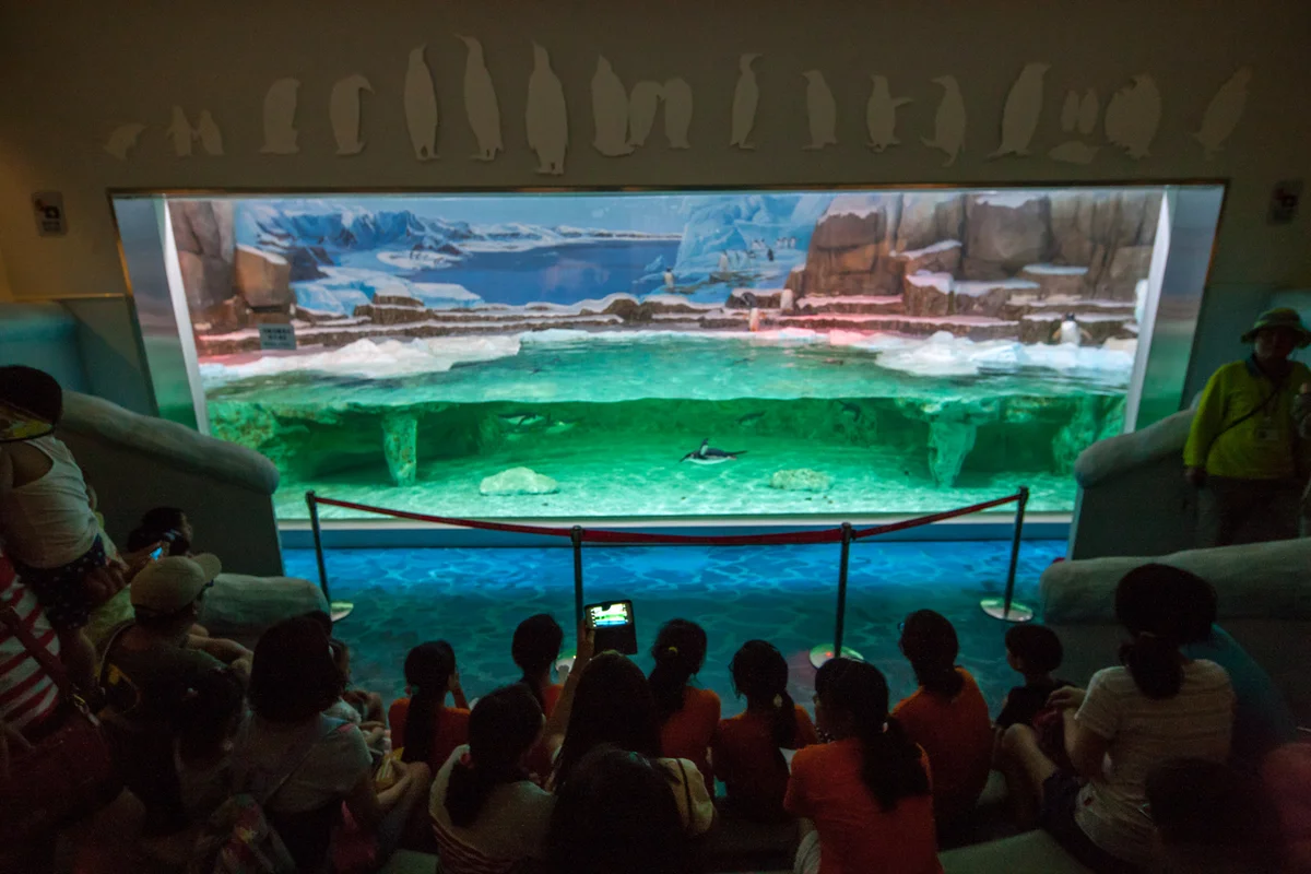 국립생태원 - 서천여행 여행