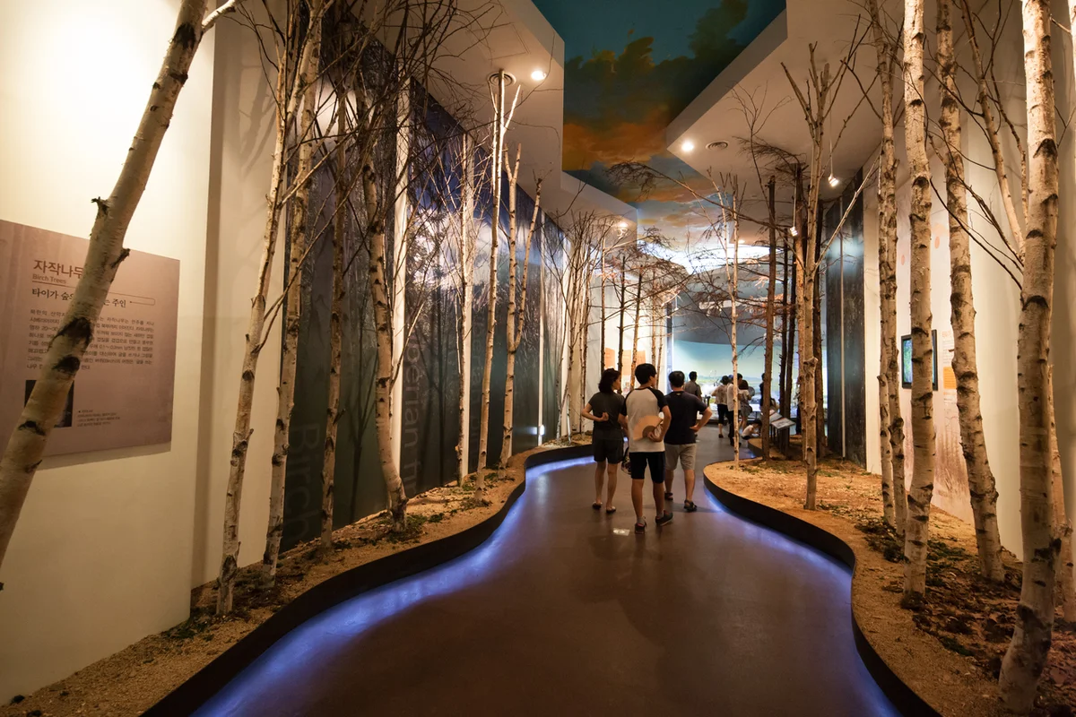 선도리갯벌체험장 - 서천여행 여행