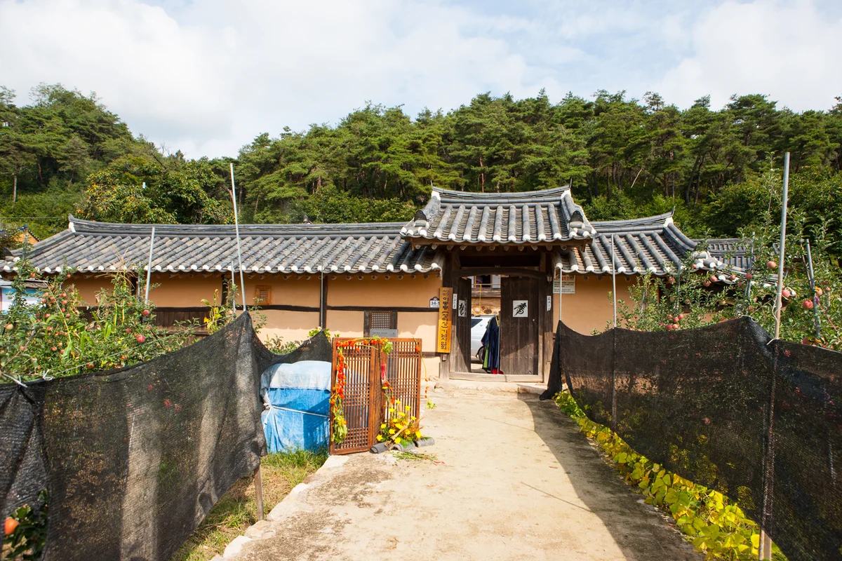 봉화별캠핑장 - 봉화여행 여행