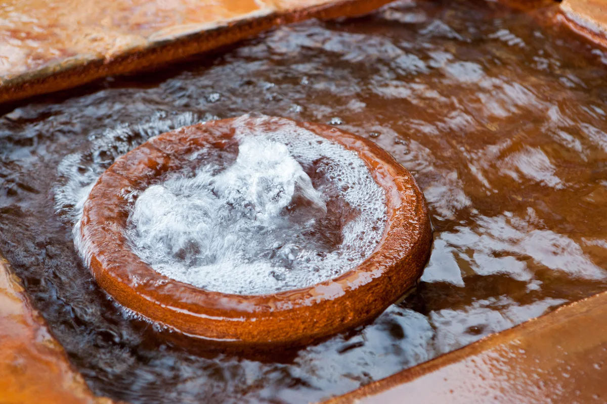 신촌 동백꽃 명소 (출처 : 한국관광공사)