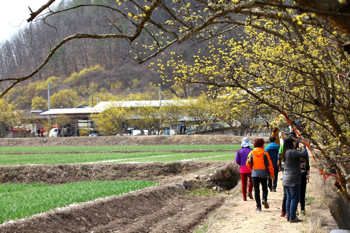 해피애니멀 - 천안여행 여행