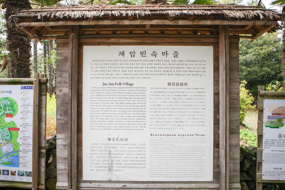 한림 매화축제 (출처 : 한국관광공사)