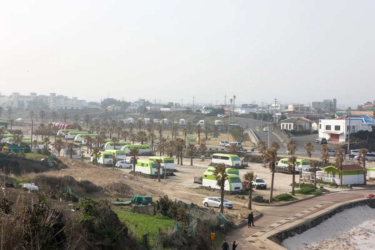 제주 봄꽃 나들이: 골체오름 벚꽃과 유채꽃 - 함덕 여행