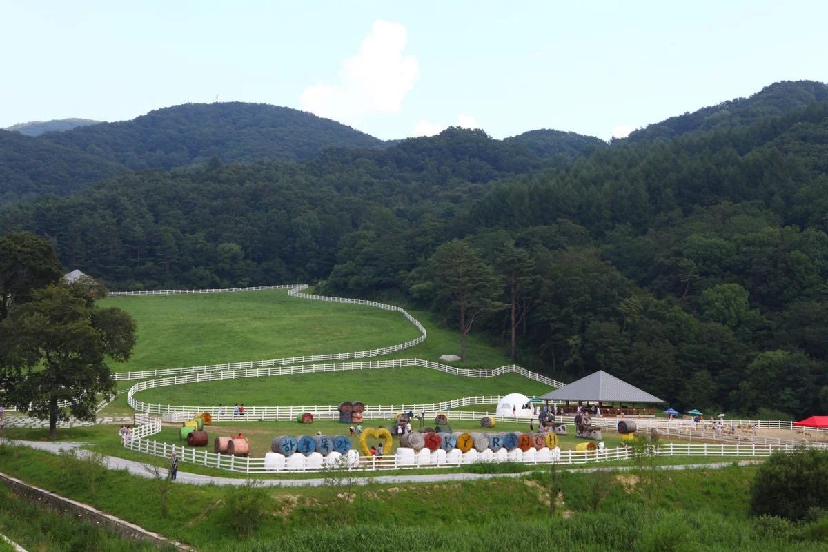 대관령 하늘목장 - 대관령 여행 여행