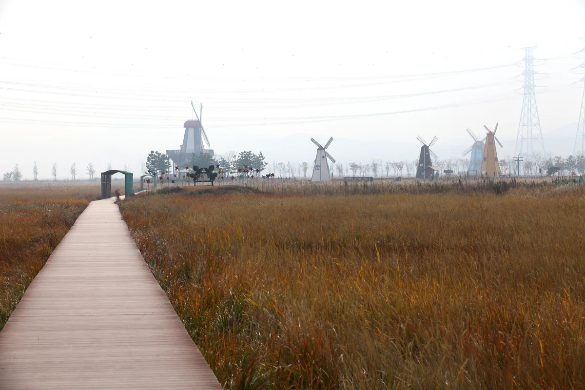 동춘서커스 - 대부도 여행