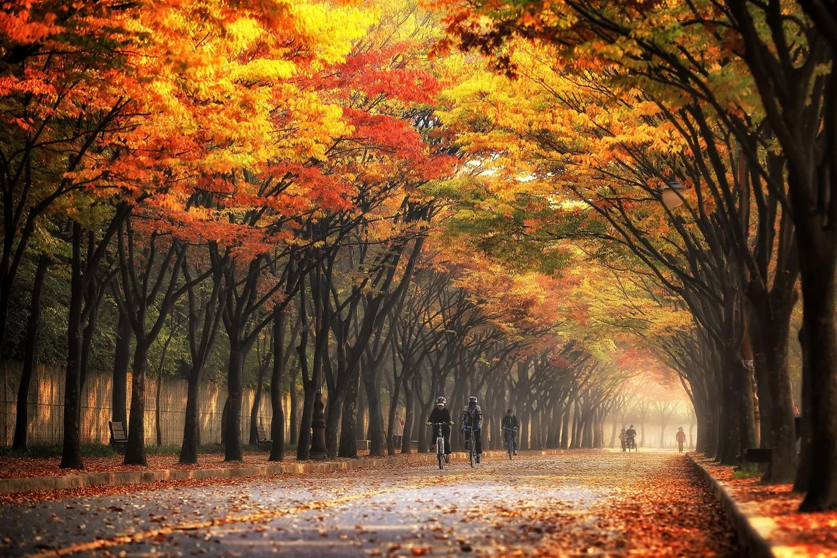 인천대공원 - 남동구 여행