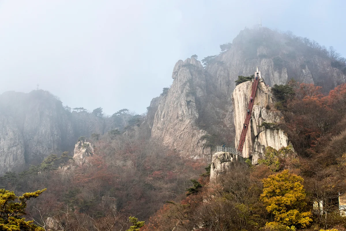 샘머리물순환테마공원 - 둔산 동물원 여행