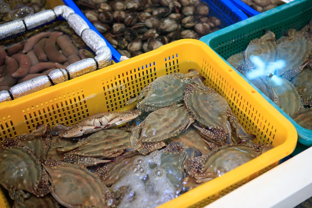 태안 서부시장 - 태안 여행