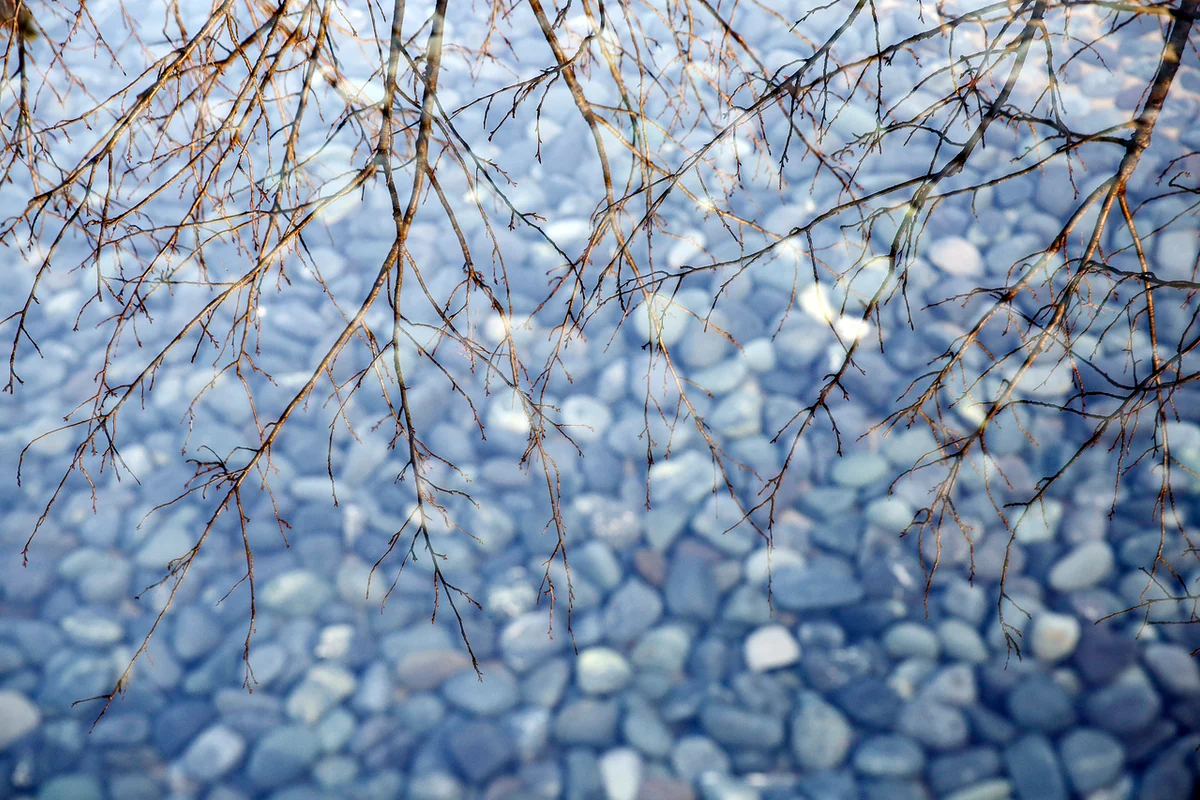 뮤지엄산 - 원주 여행 여행