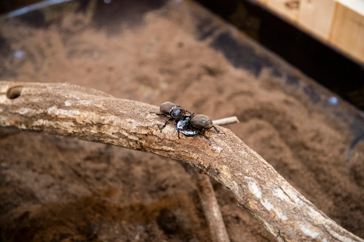 장수 유아 동반 (출처 : 한국관광공사)