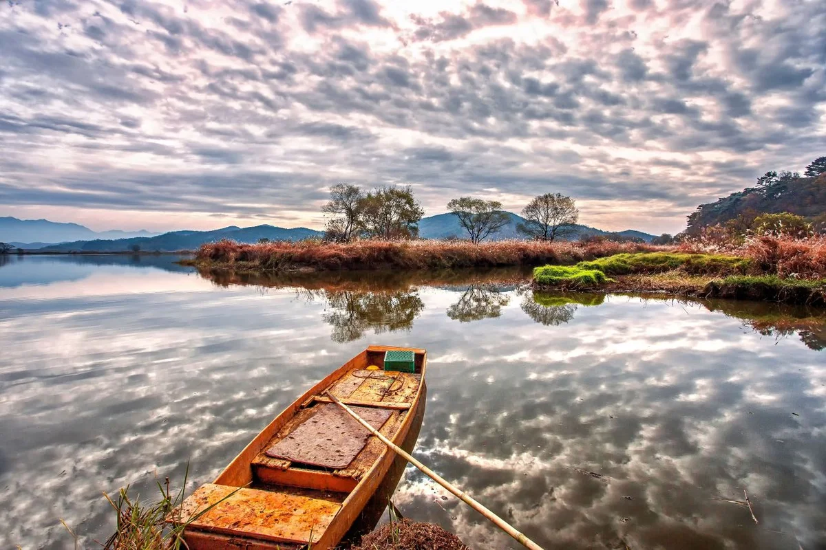 우포늪 - 창녕 축제 여행