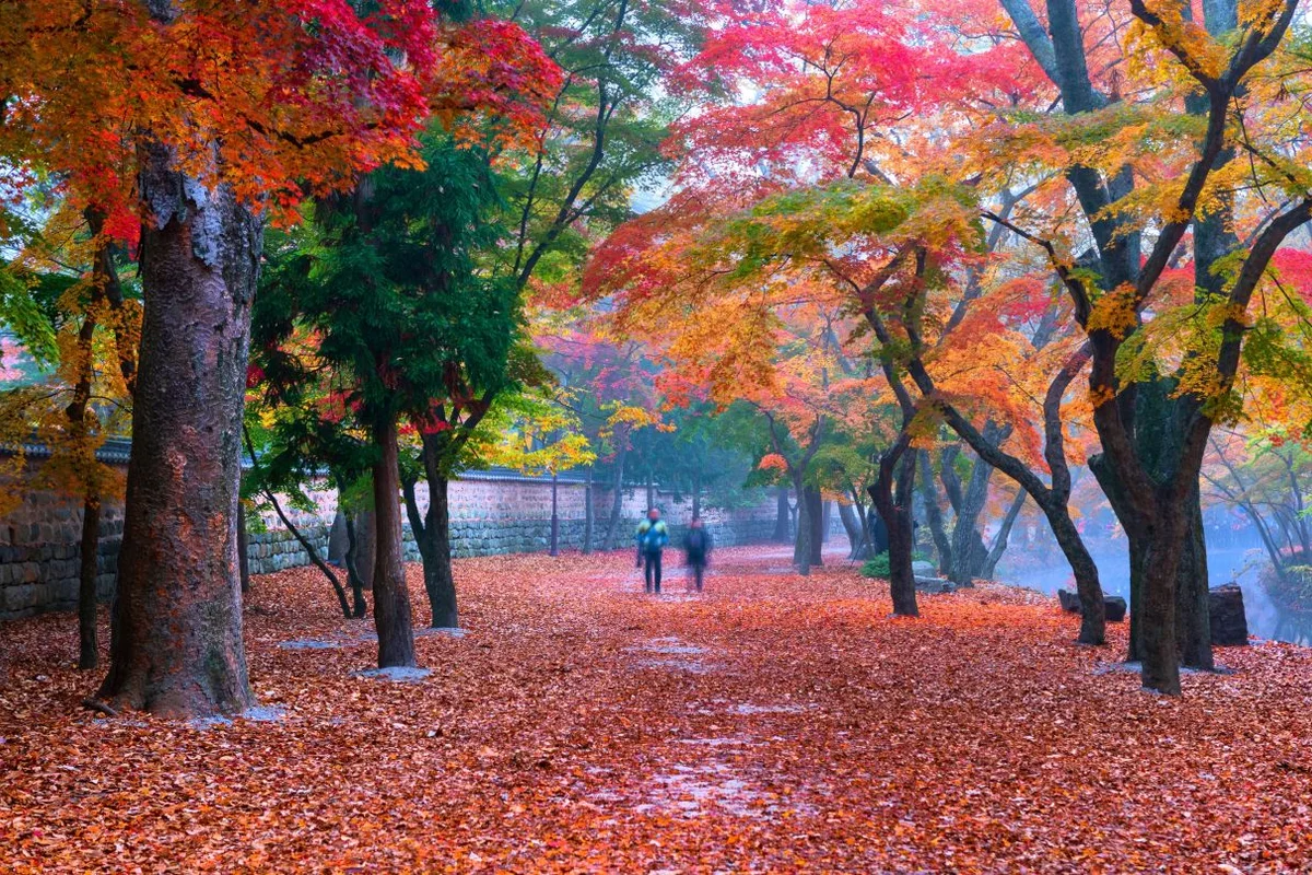 선운사 - 전북여행 여행
